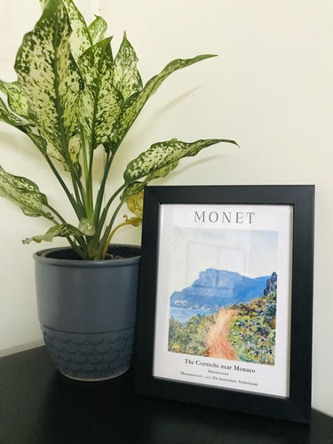 Customer photo review of Claude Monet- The Corniche Near Monaco