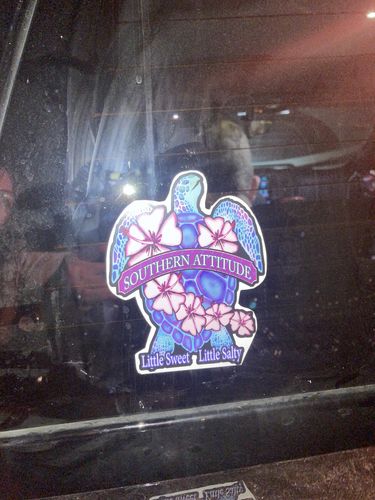 Customer photo review of Flower Turtle Decal