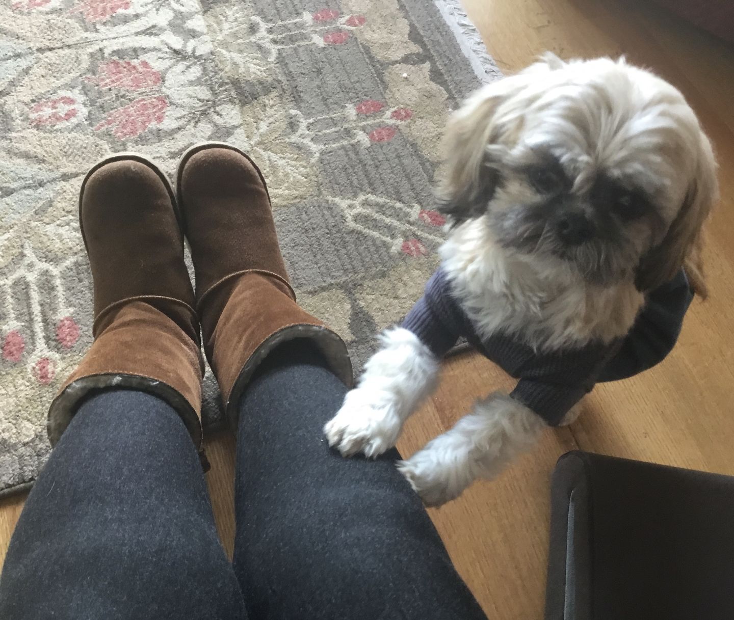 Customer photo review of LADIES TRIXIE SHEEPSKIN BOOT