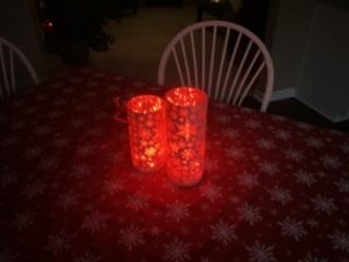 Customer photo review of 7 FT | 20 LED Weatherproof Battery Operated Copper Wire Red Fairy String Lights With Timer