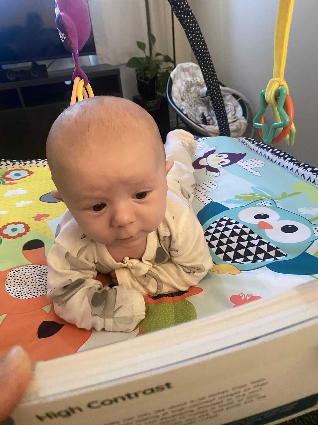 Customer photo review of Curious Baby™ Activity Cards