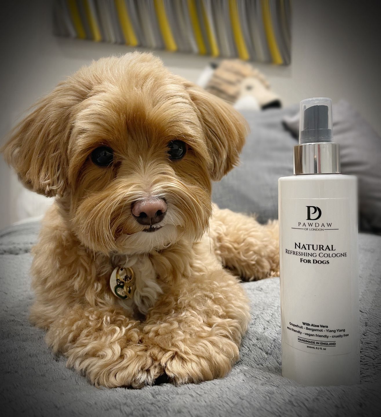 Customer photo review of Natural Refreshing Dog Cologne