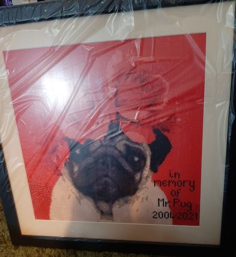 Customer photo review of American Diamond Art Pug Roses Diamond Painting PL00338