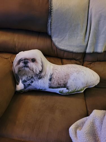 Customer photo review of Create A Custom Dog Pillow
