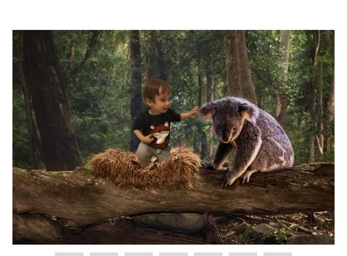 Customer photo review of Koala