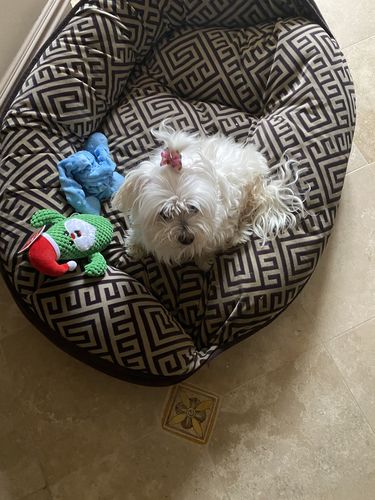 Customer photo review of Holiday Chocolate Gift Basket 2.5 lbs.