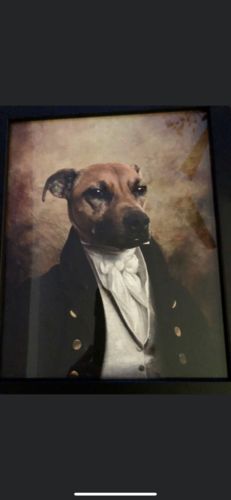 Customer photo review of The Baron - Custom Vintage Pet Portrait