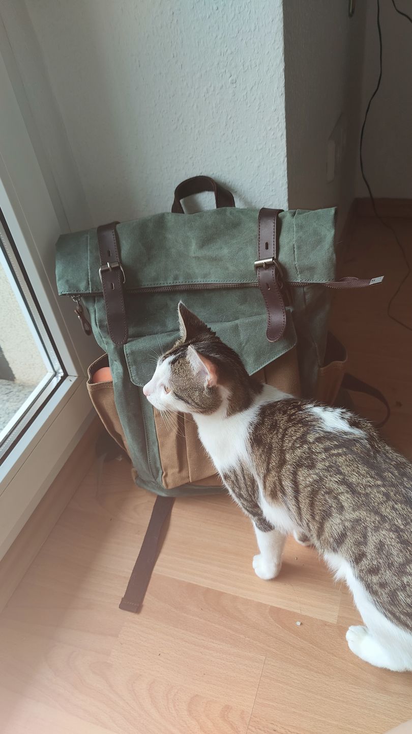 Customer photo review of Traveler Wald