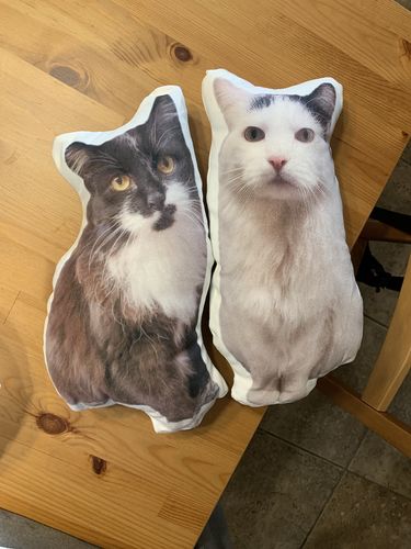Customer photo review of Create A Custom Cat Pillow