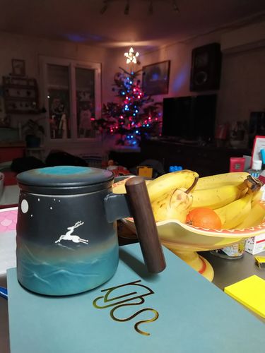 Customer photo review of Elk and Moon Coffee & Tea Mug