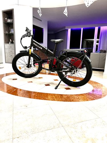 Customer photo review of 2025 Wallke X3 Max Folding 2800W Electric Bike