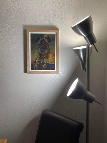 Customer photo review of The General - Custom Vintage Pet Portrait
