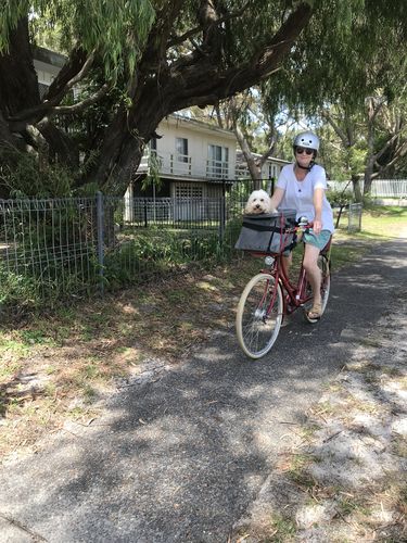 Customer photo review of All In One Pet Carrier Bag | Dog Bike Basket | Backpack for Dogs & Cats | Car Booster Seat