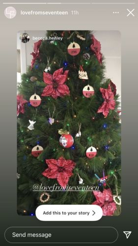 Customer photo review of Personalised Christmas Tree Bauble