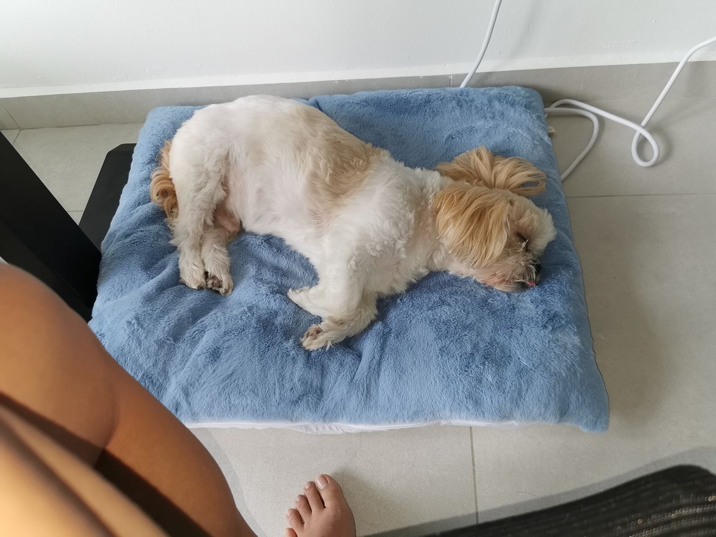 Customer photo review of arrr Sleeping Blanket (NEW)