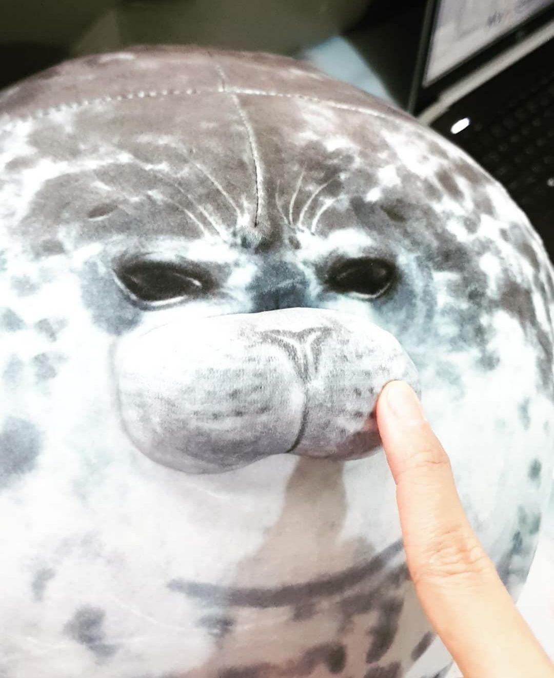 Customer photo review of Yuki-Chan Plushie "Japan's Roundest Seal" - XL (Extra Chonky)