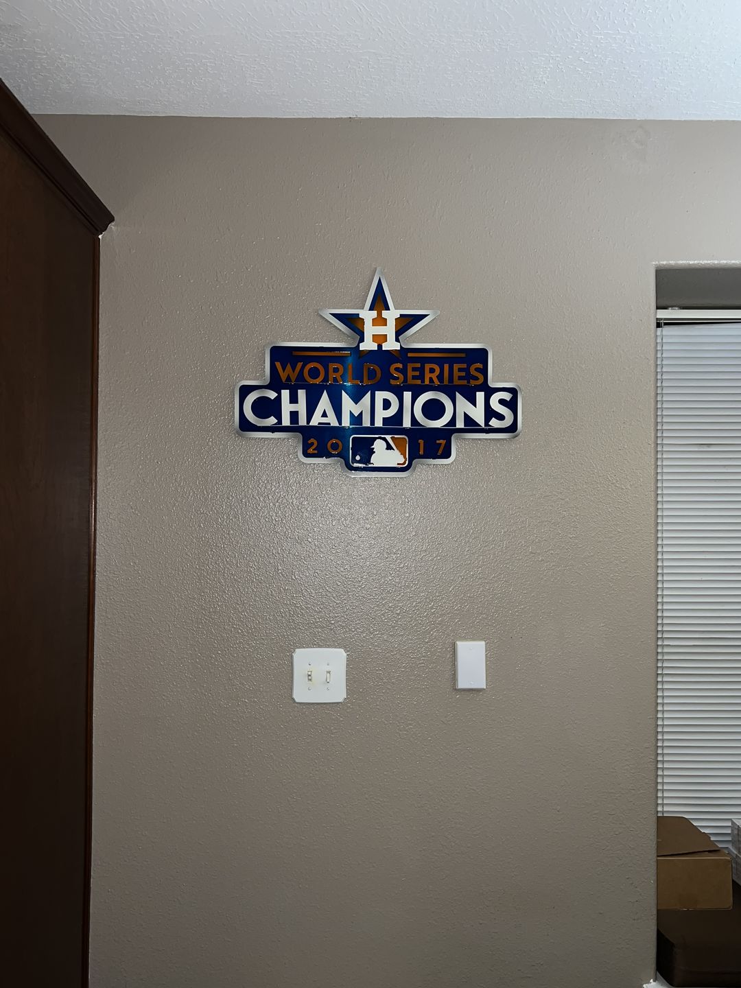 Customer photo review of Houston Astros Crest 3D Metal Artwork