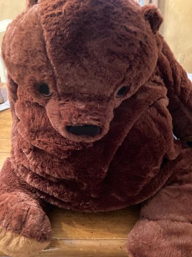 Customer photo review of SKOGGY BEAR