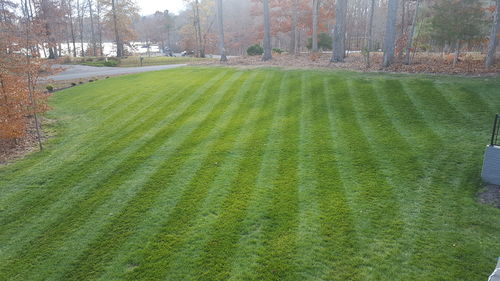 Customer photo review of Protene Performance Winter Fertilizer