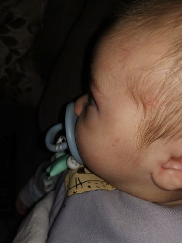 Customer photo review of Chupete Dusty Blue Nenina & Co