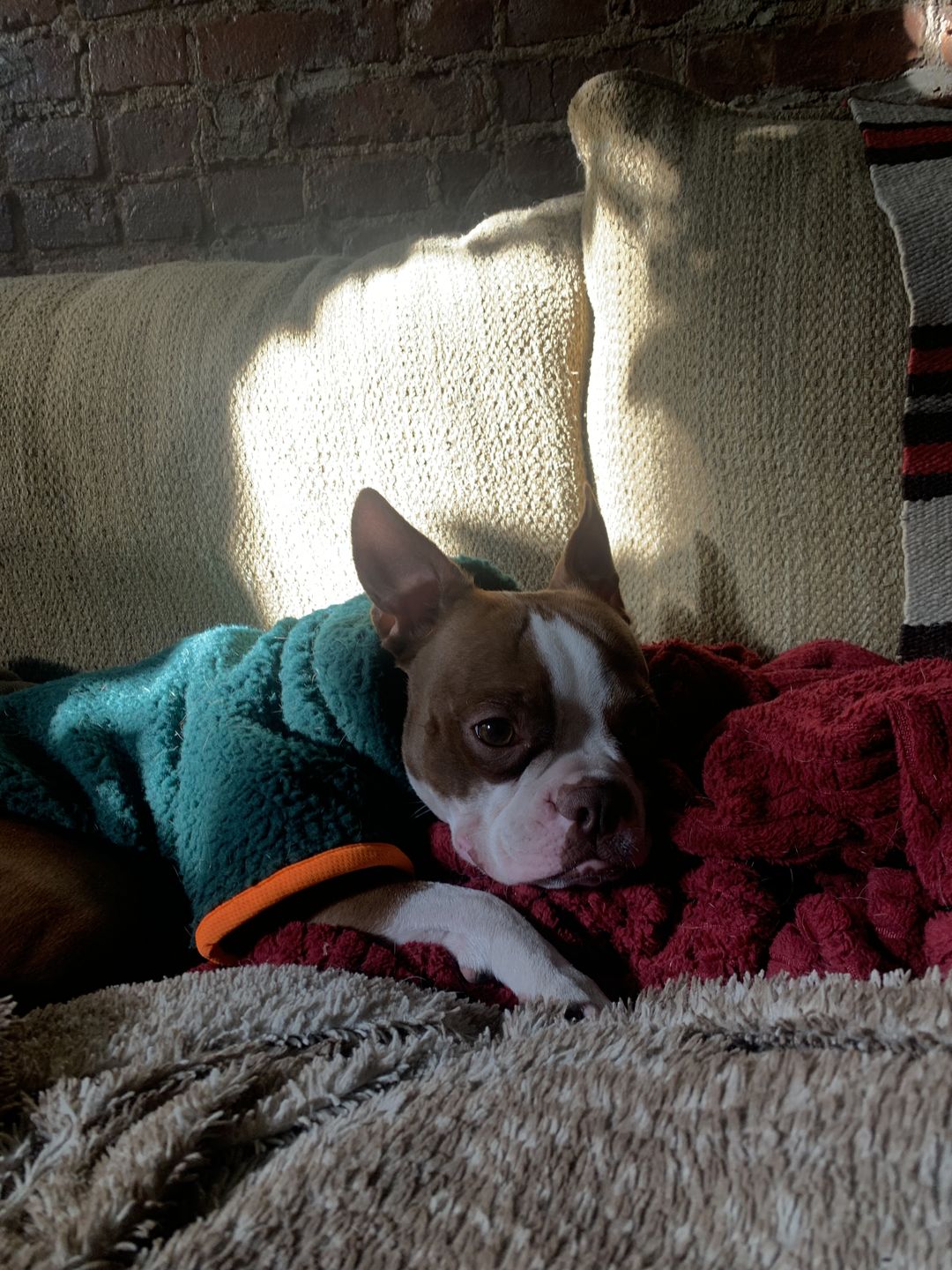 Customer photo review of Monkey Fleece Jacket