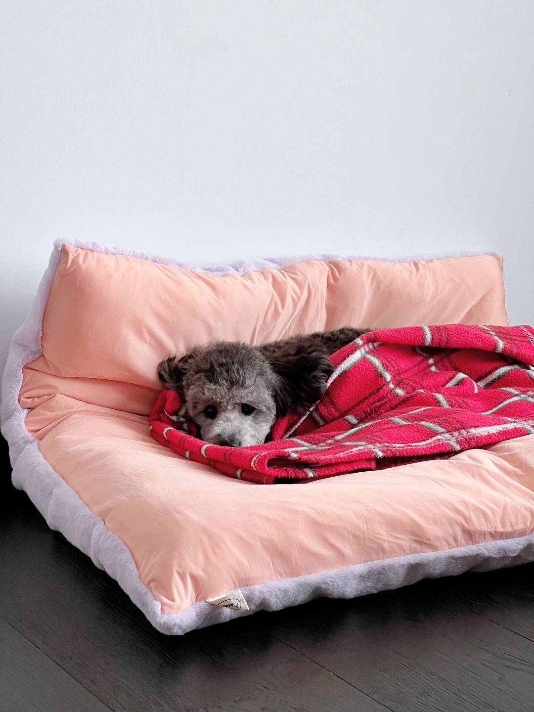 Customer photo review of arrr Sleeping Blanket (NEW)