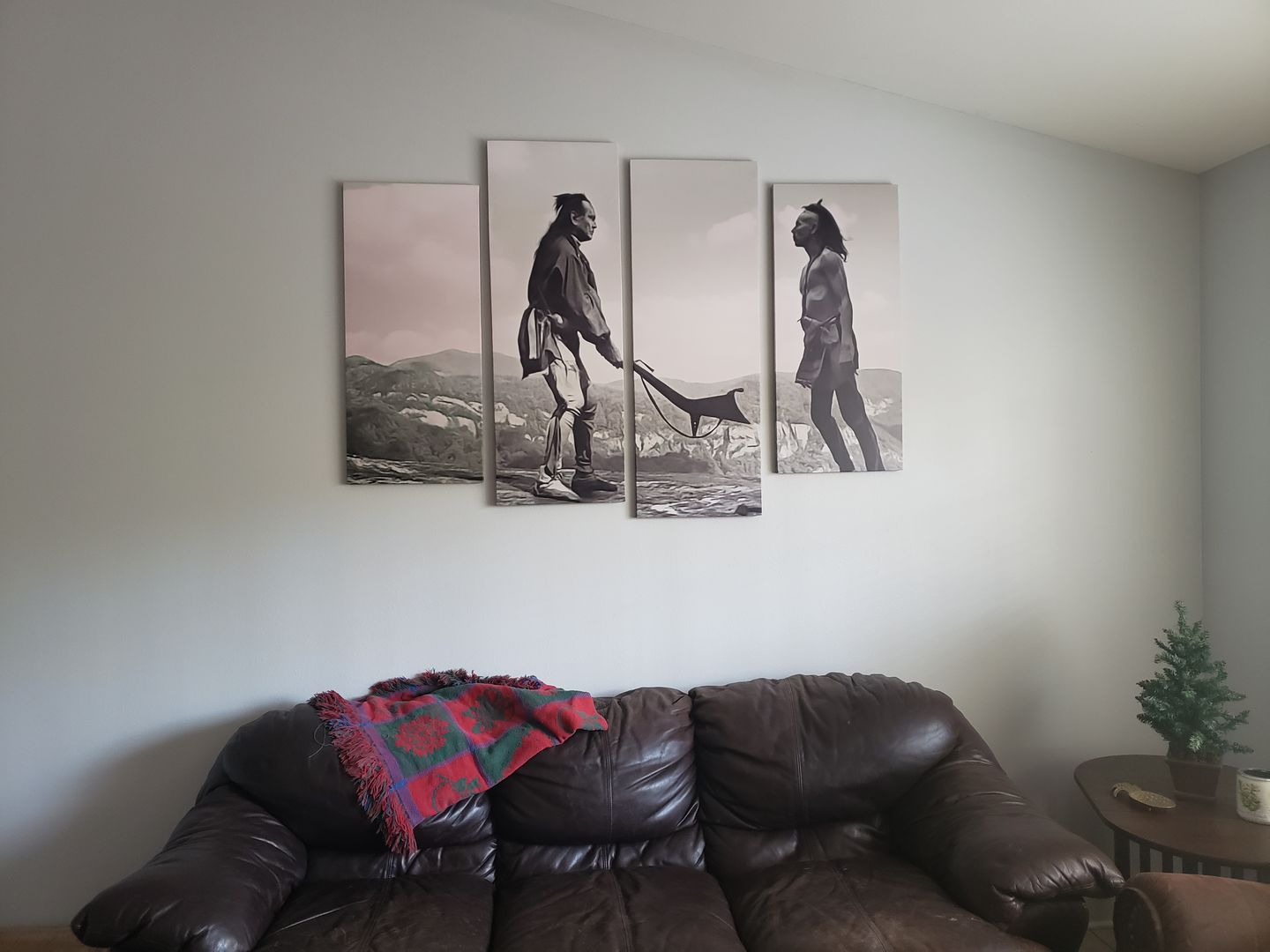 Customer photo review of Last of the Mohicans Wall Art