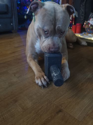 Customer photo review of The Fenrir Hammer