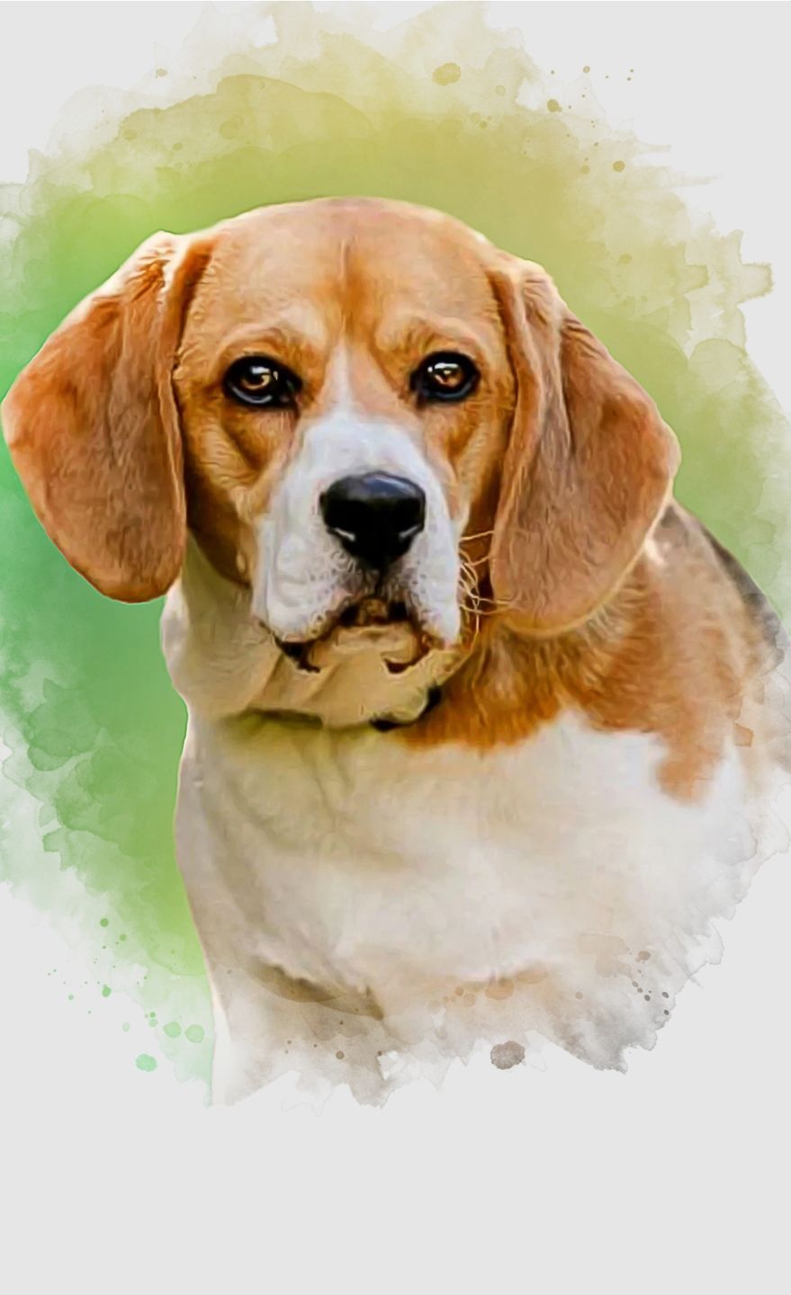 Customer photo review of Portrait deines Tieres im Wasserfarben-Stil