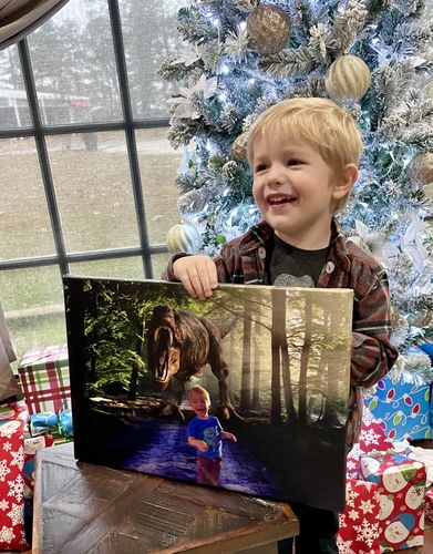 Customer photo review of Dino Forest