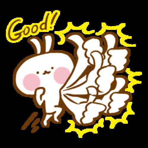 Customer photo review of 日東紅茶 冷泡水蜜桃玫瑰果茶 12包入