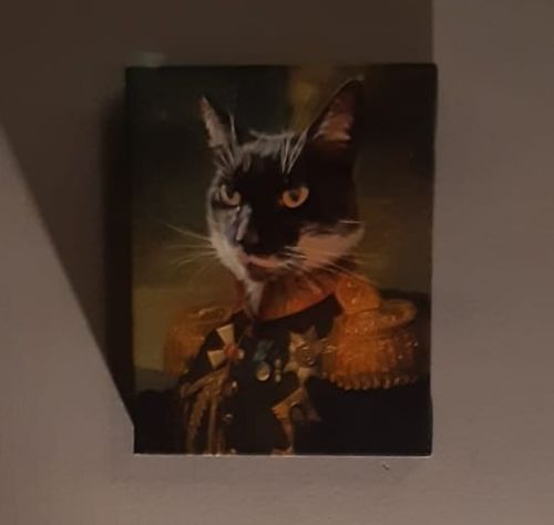 Customer photo review of The General – Custom Vintage Pet Canvas