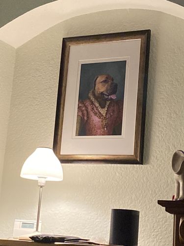 Customer photo review of The Countess - Custom Vintage Pet Portrait