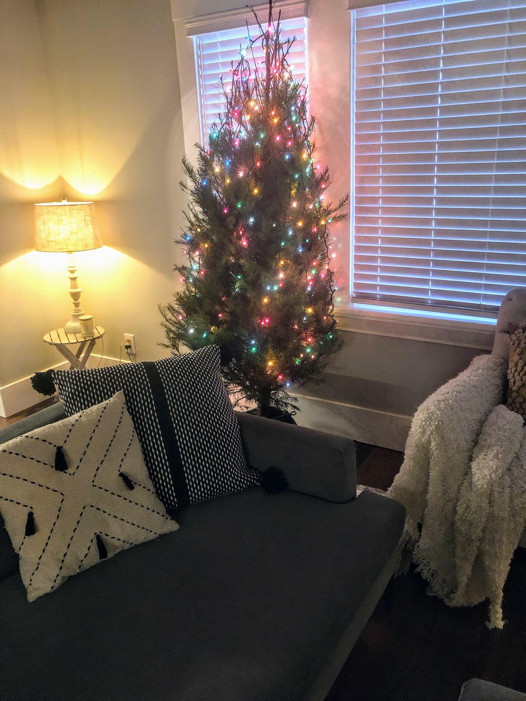 Customer photo review of Kala - Lumbar 12x20"