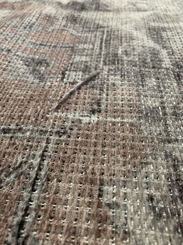 Customer photo review of Distressed Vintage Cezanne Blush Area Rug