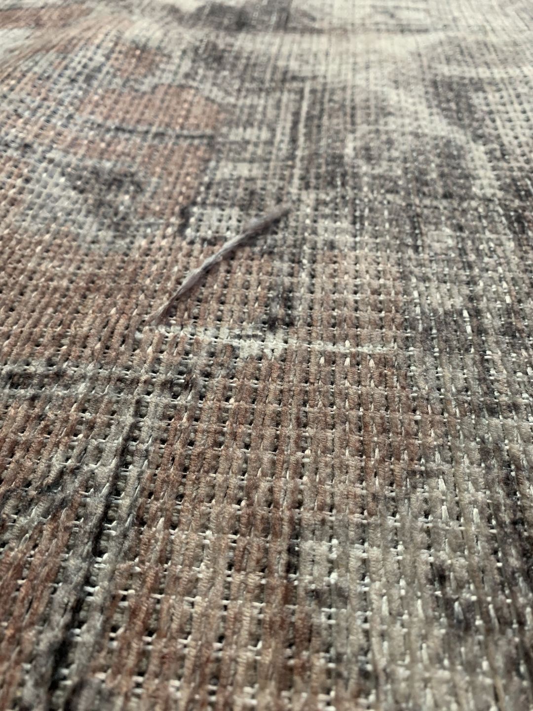 Customer photo review of Distressed Vintage Cezanne Blush Area Rug