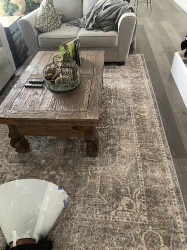Customer photo review of Distressed Vintage Kendra Ash Area Rug