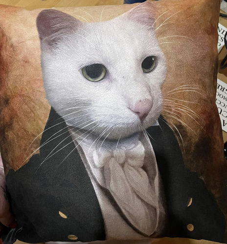 Customer photo review of The Baron - Custom Pet Cushion