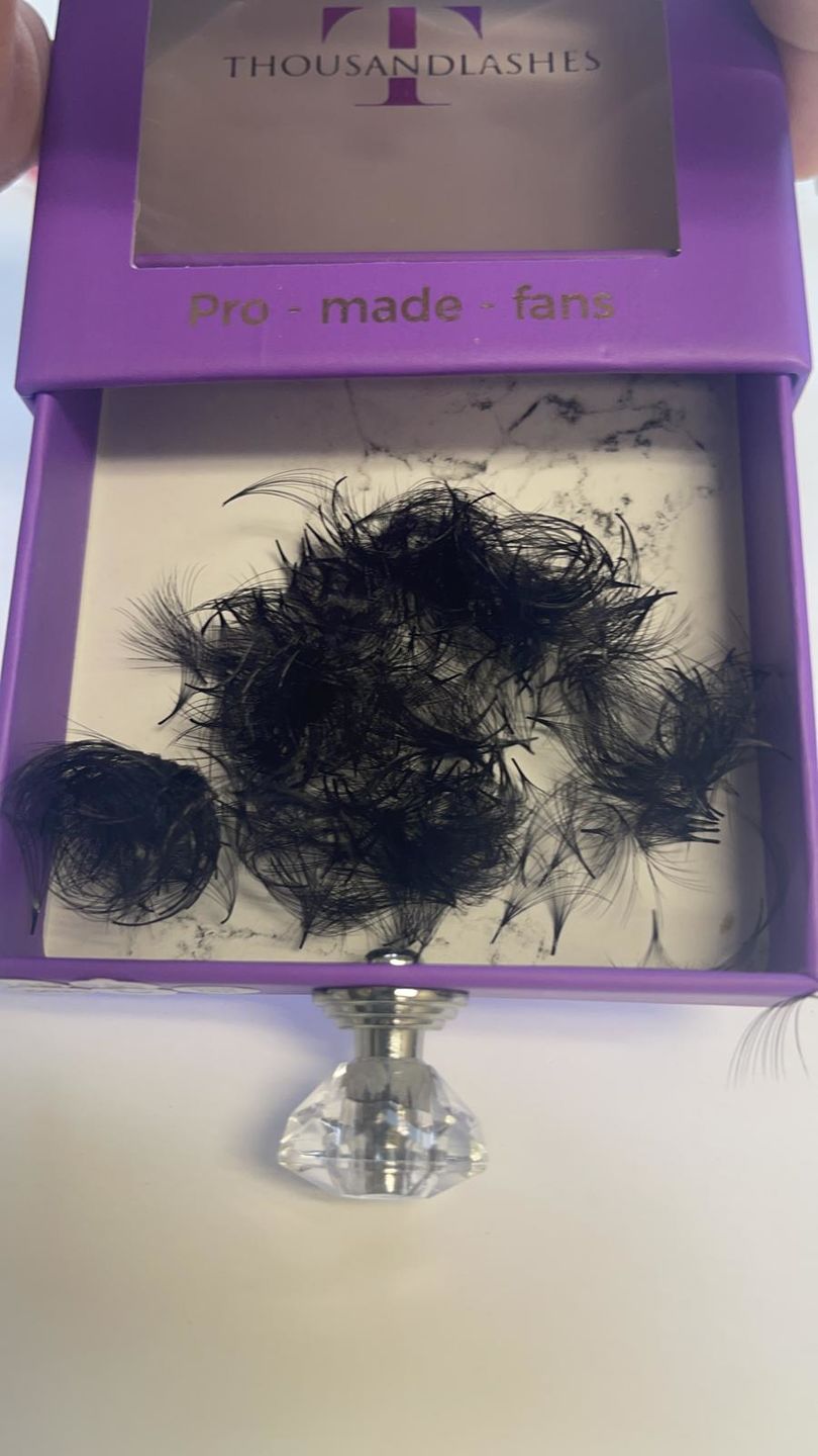 Customer photo review of 14D PRO-MADE VOLUME FANS 0.03 SINGLE LENGTH 8-18MM