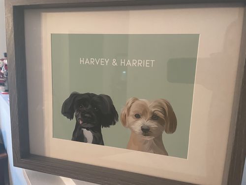 Customer photo review of Minimalist - Custom Pet Portrait
