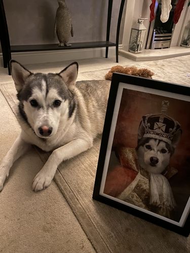 Customer photo review of The King - Custom Vintage Pet Portrait