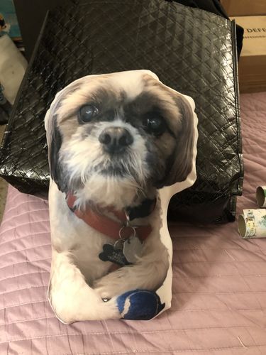 Customer photo review of Create A Custom Dog Pillow
