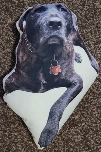 Customer photo review of Create A Custom Dog Pillow