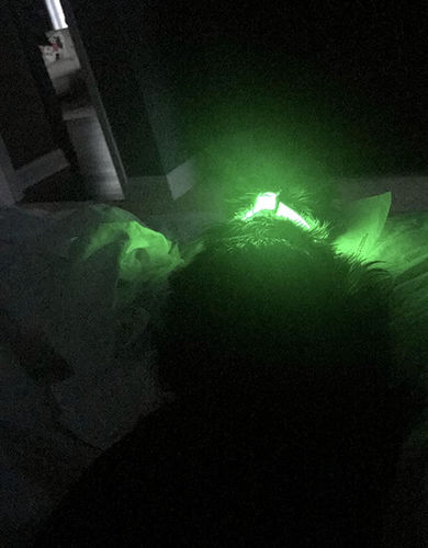 Customer photo review of LED Glow Collar