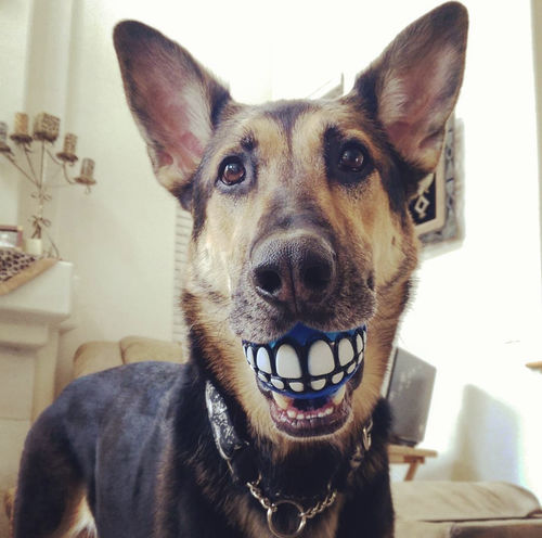 Customer photo review of Smile Dog Ball