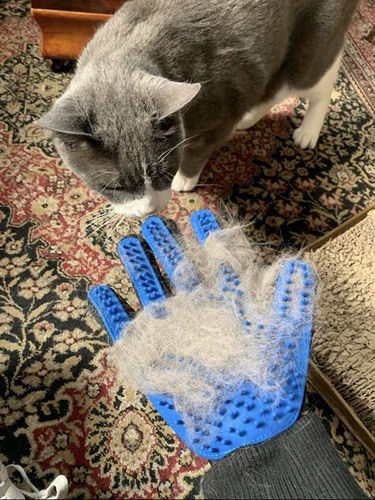 Customer photo review of Advanced DeShedding Set