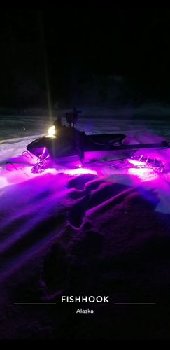 Customer photo review of Premium RGB+W Rock Lights