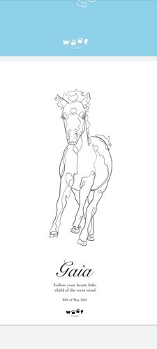 Customer photo review of Woofpalace Digital Artfile