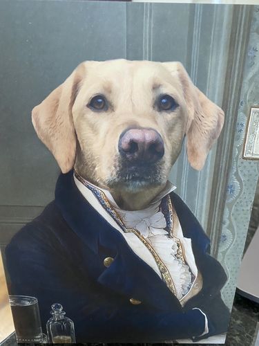 Customer photo review of The Victorian Explorer - Custom Vintage Pet Portrait