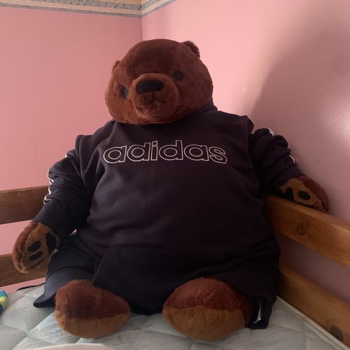 Customer photo review of SKOGGY BEAR